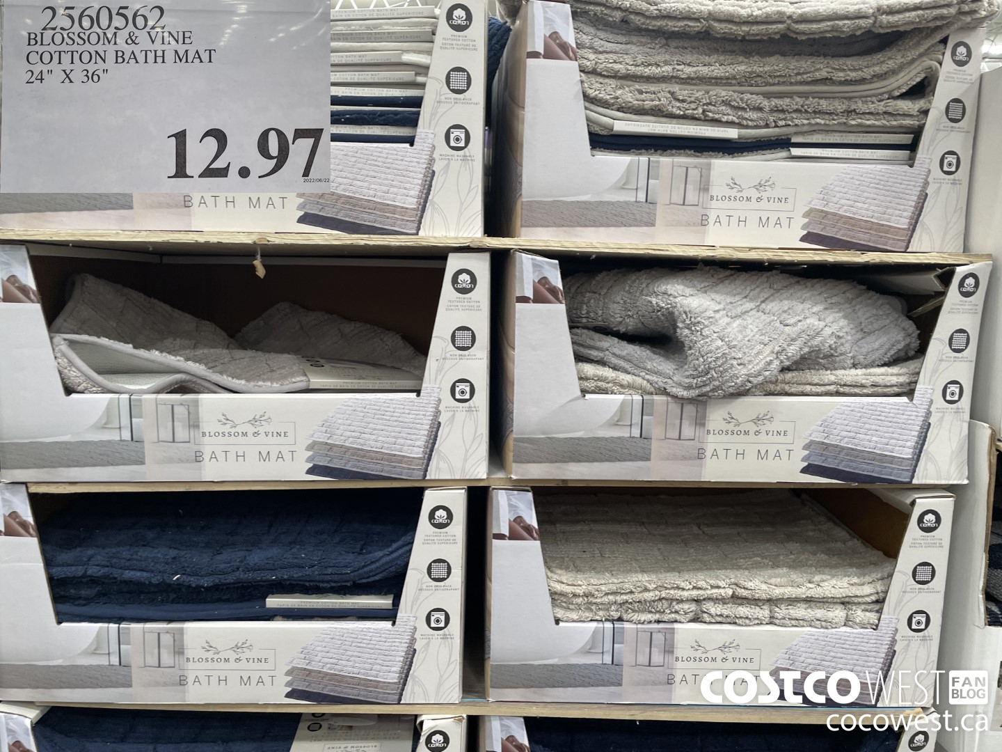 2560562 BLOSSOM & VINE COTTON BATH MAT 24