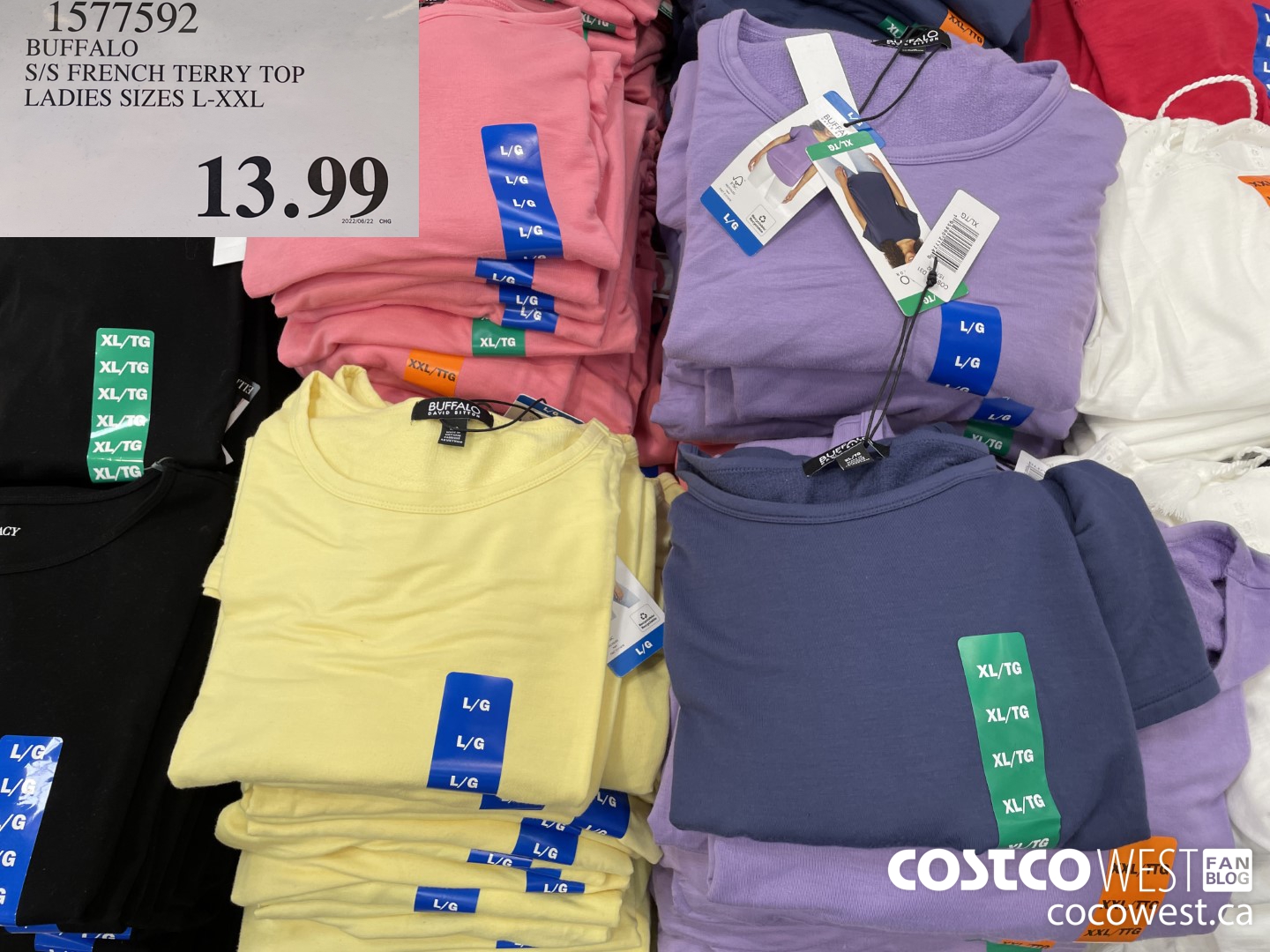 1577592 BUFFALO S/S FRENCH TERRY TOP LADIES SIZES L-XXL  $13.99