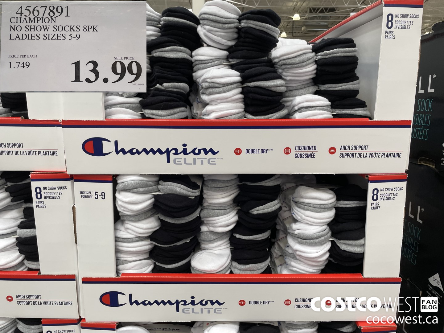 4567891 CHAMPION NO SHOW SOCKS 8PK LADIES SIZES 5-9 $13.99