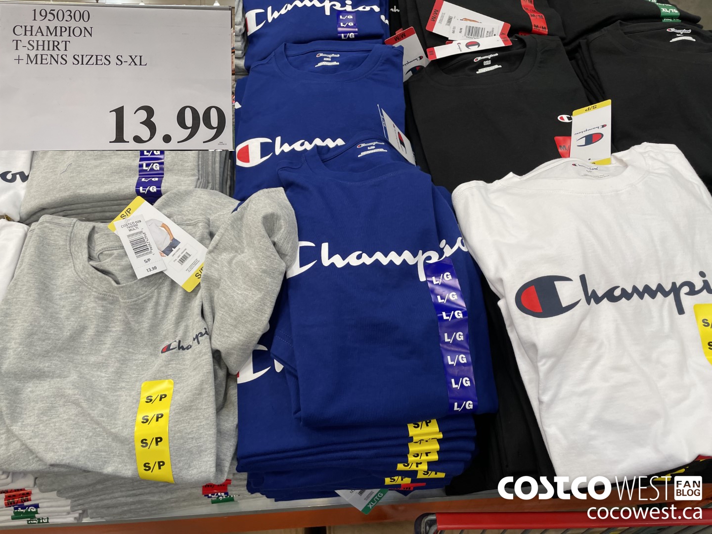 1950300 CHAMPION T-SHIRT MENS SIZES S-XL $13.99