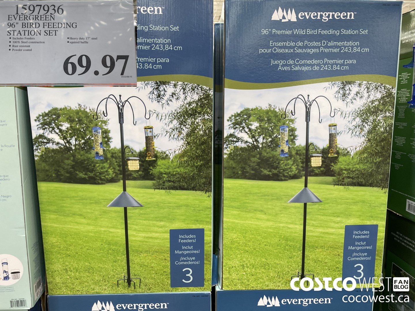 1597936 EVERGREEN 96