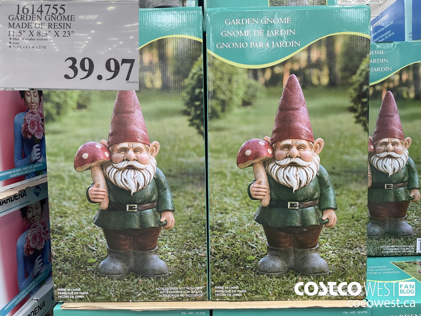1614755 GARDEN GNOME MADE OF RESIN 11.5