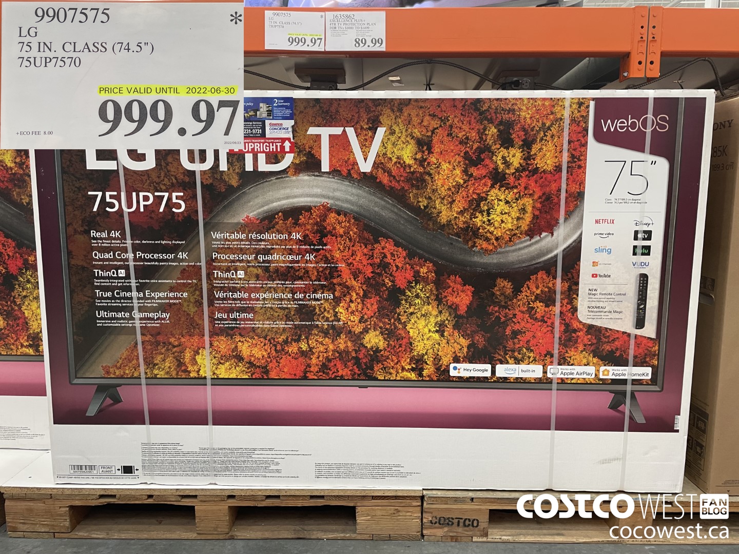 9907575 LG 75 IN. CLASS (74.5