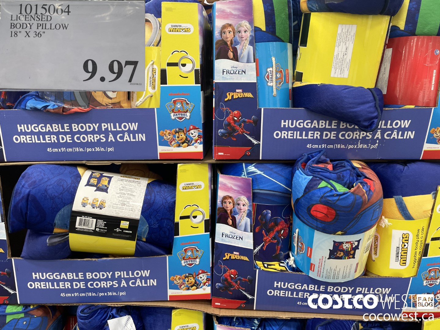 1015064 LICENSED BODY PILLOW 18