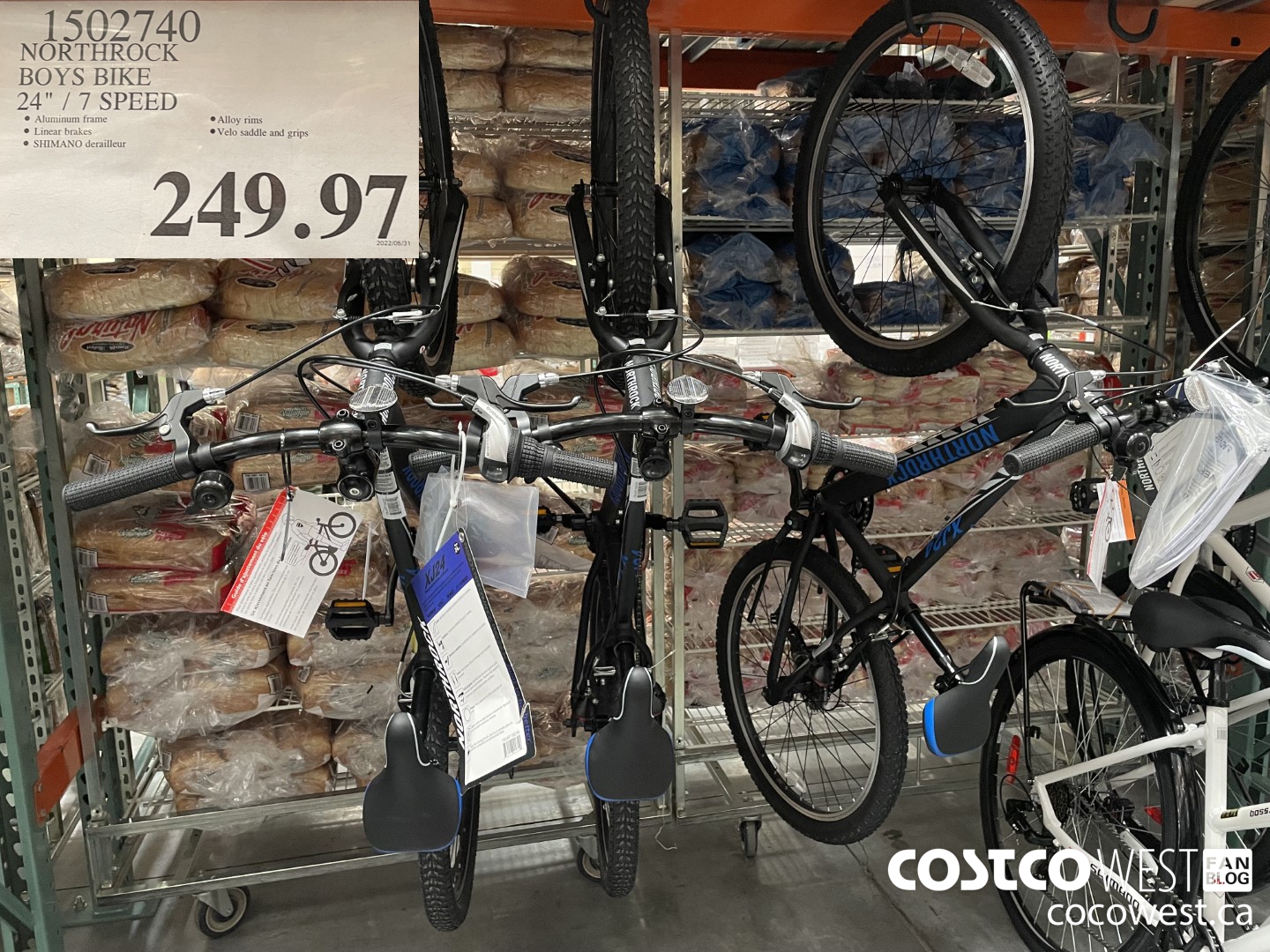 Velo discount homme costco