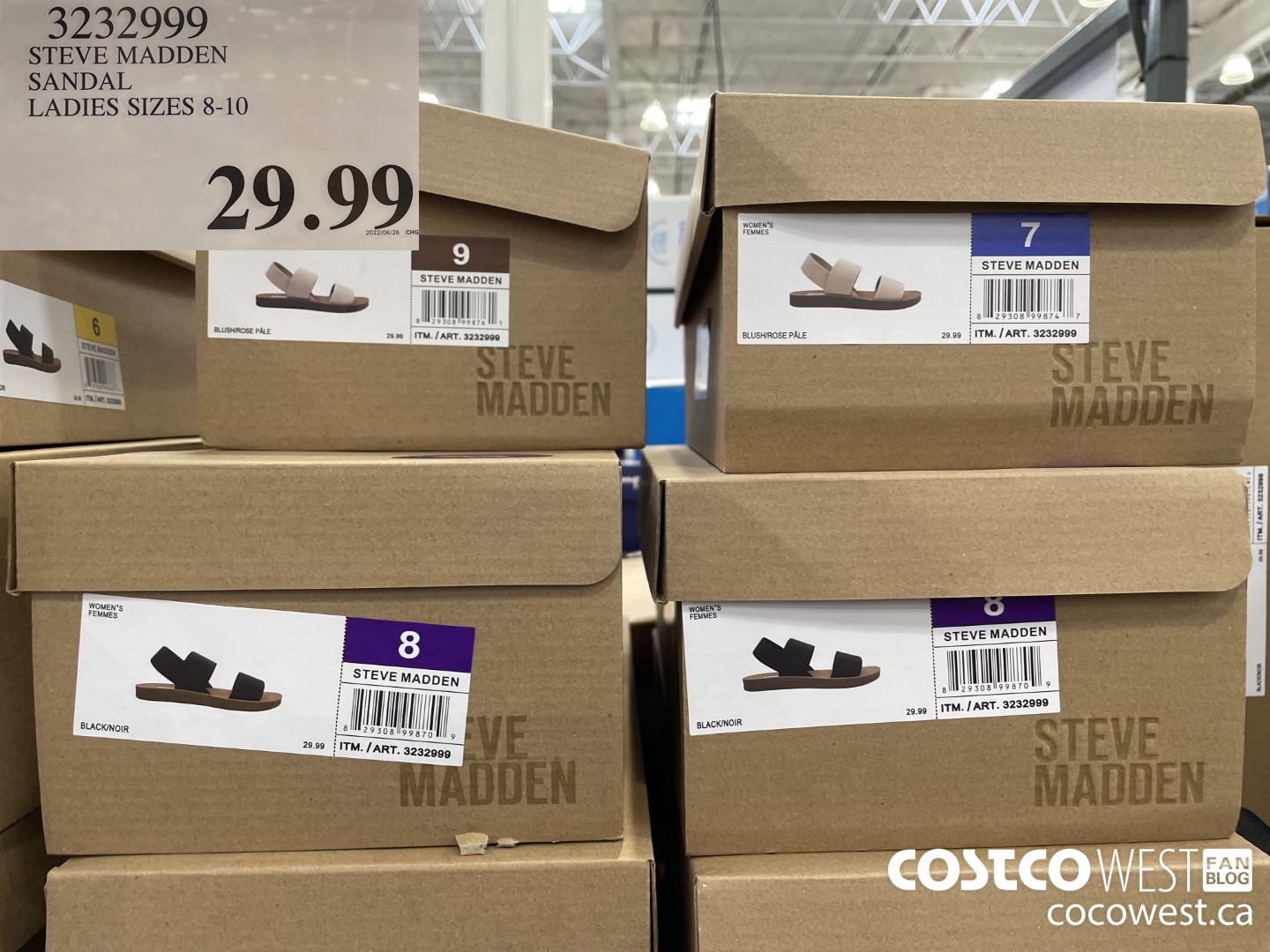 3232999 STEVE MADDEN SANDAL LADIES SIZES 8-10  $29.99