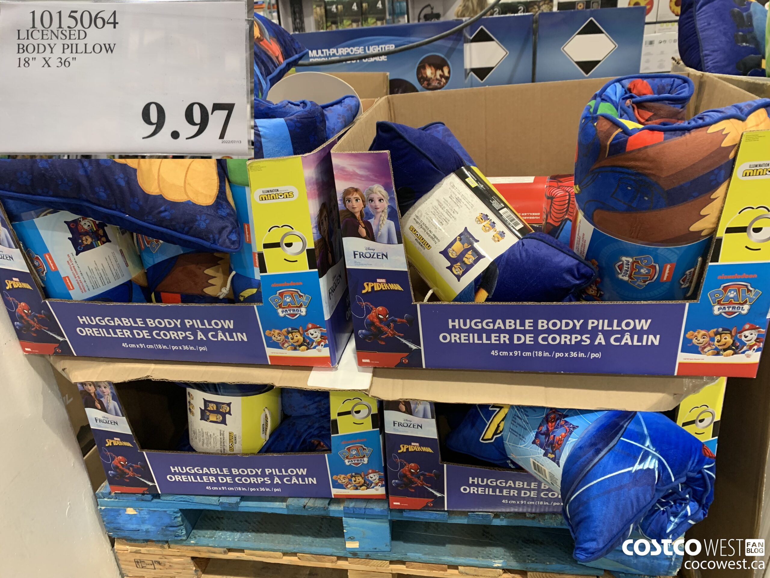 1015064 LICENSED BODY PILLOW 18