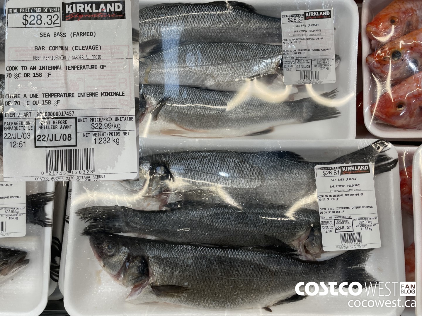 17457 SEA BASS (FARMED) $22.99