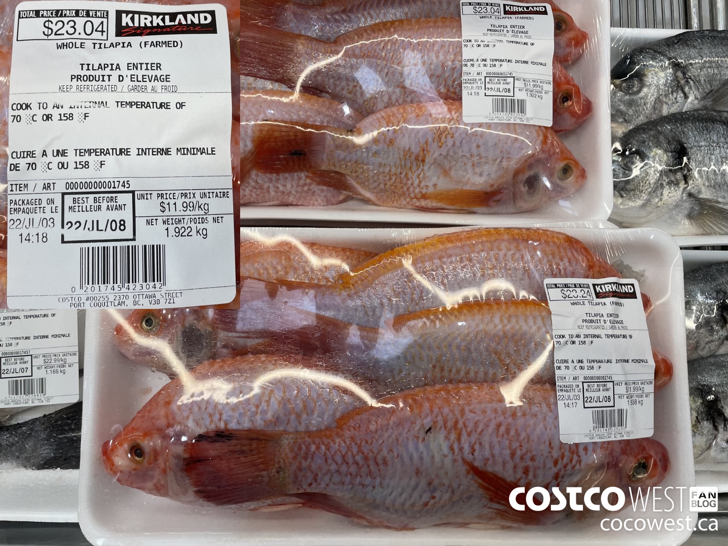1745 WHOLE TILAPIA (FARMED) $11.99