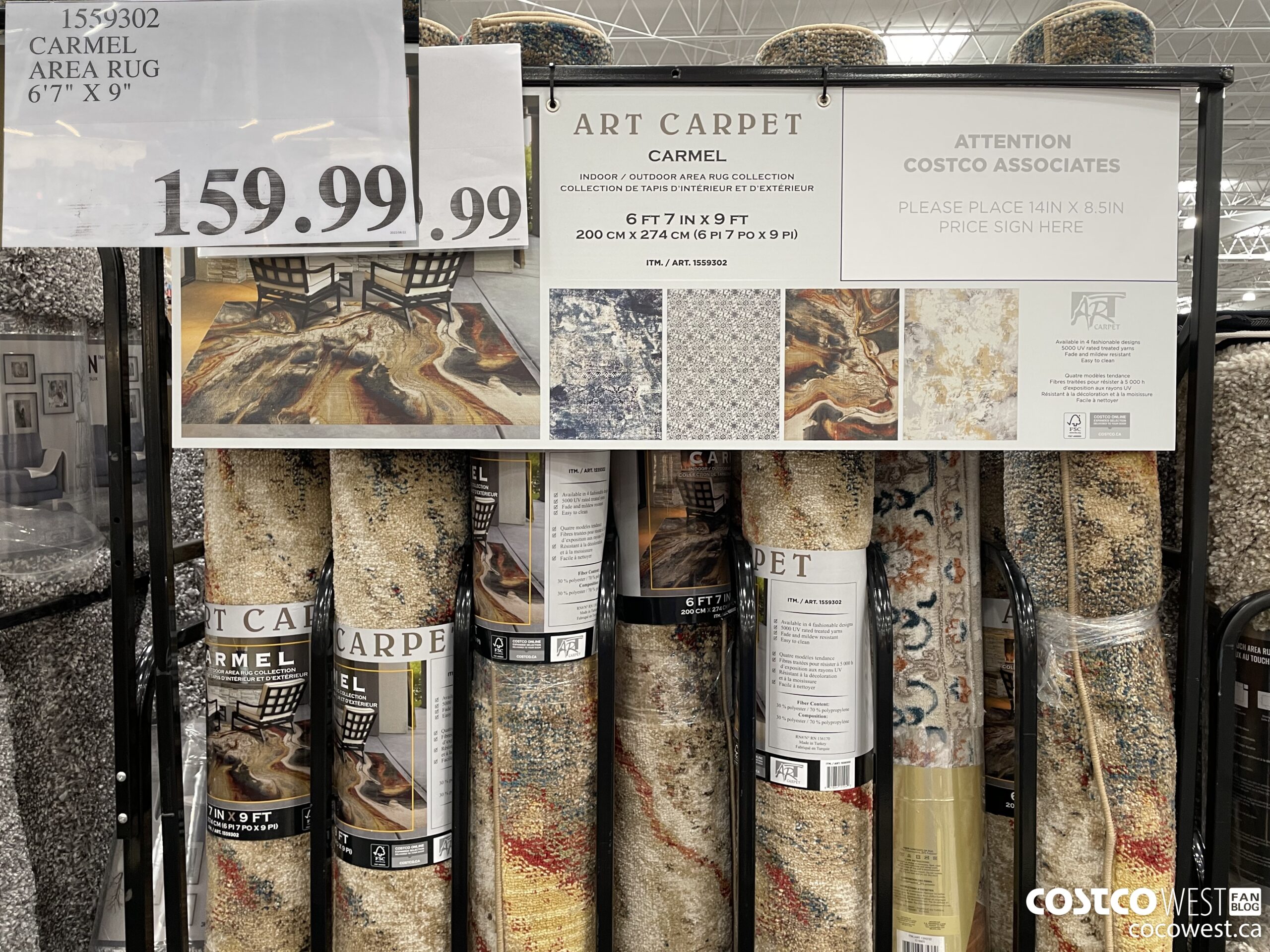 1559302 CARMEL AREA RUG 6'7