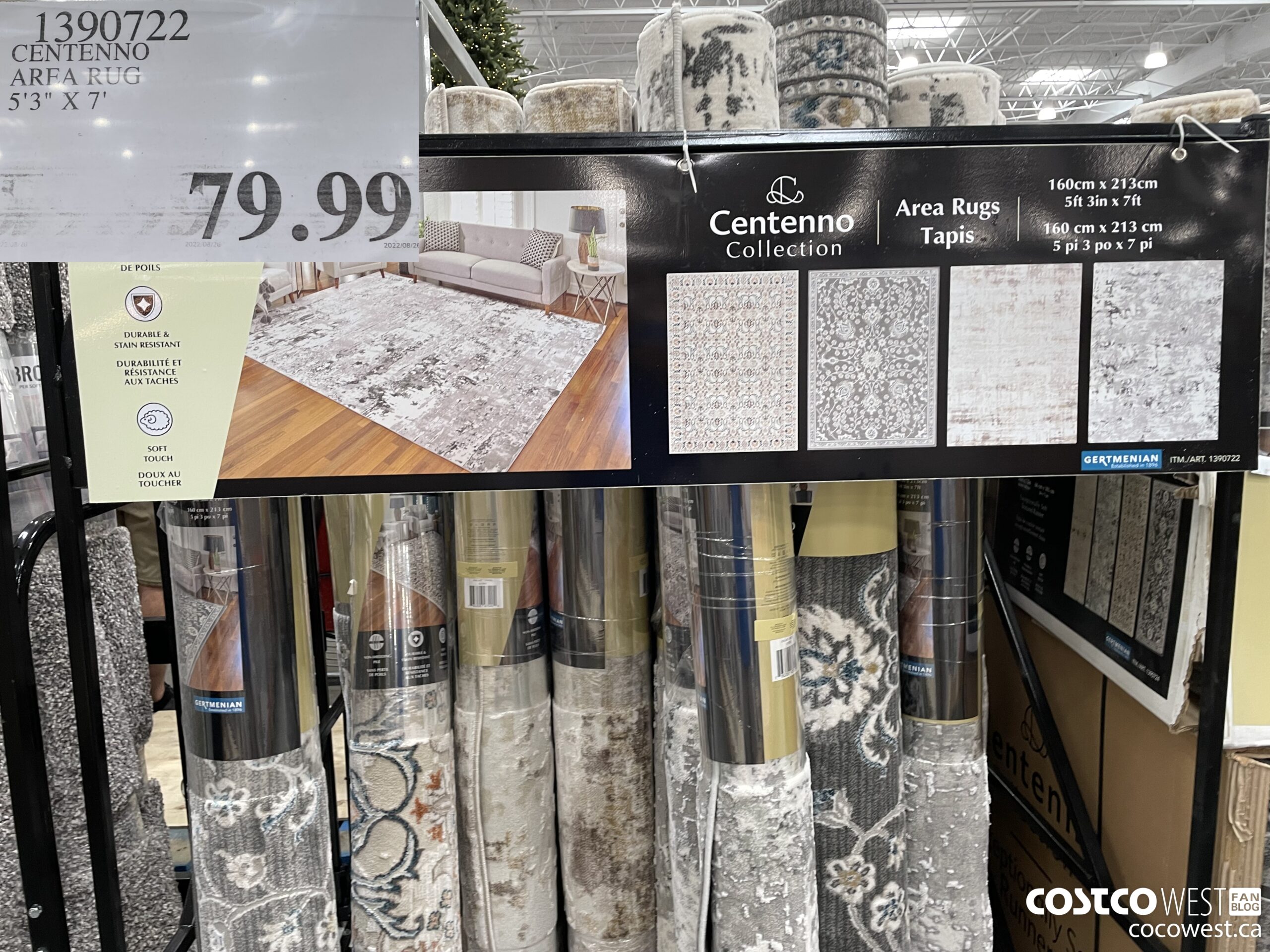 1390722 CENTENNO AREA RUG 5'3