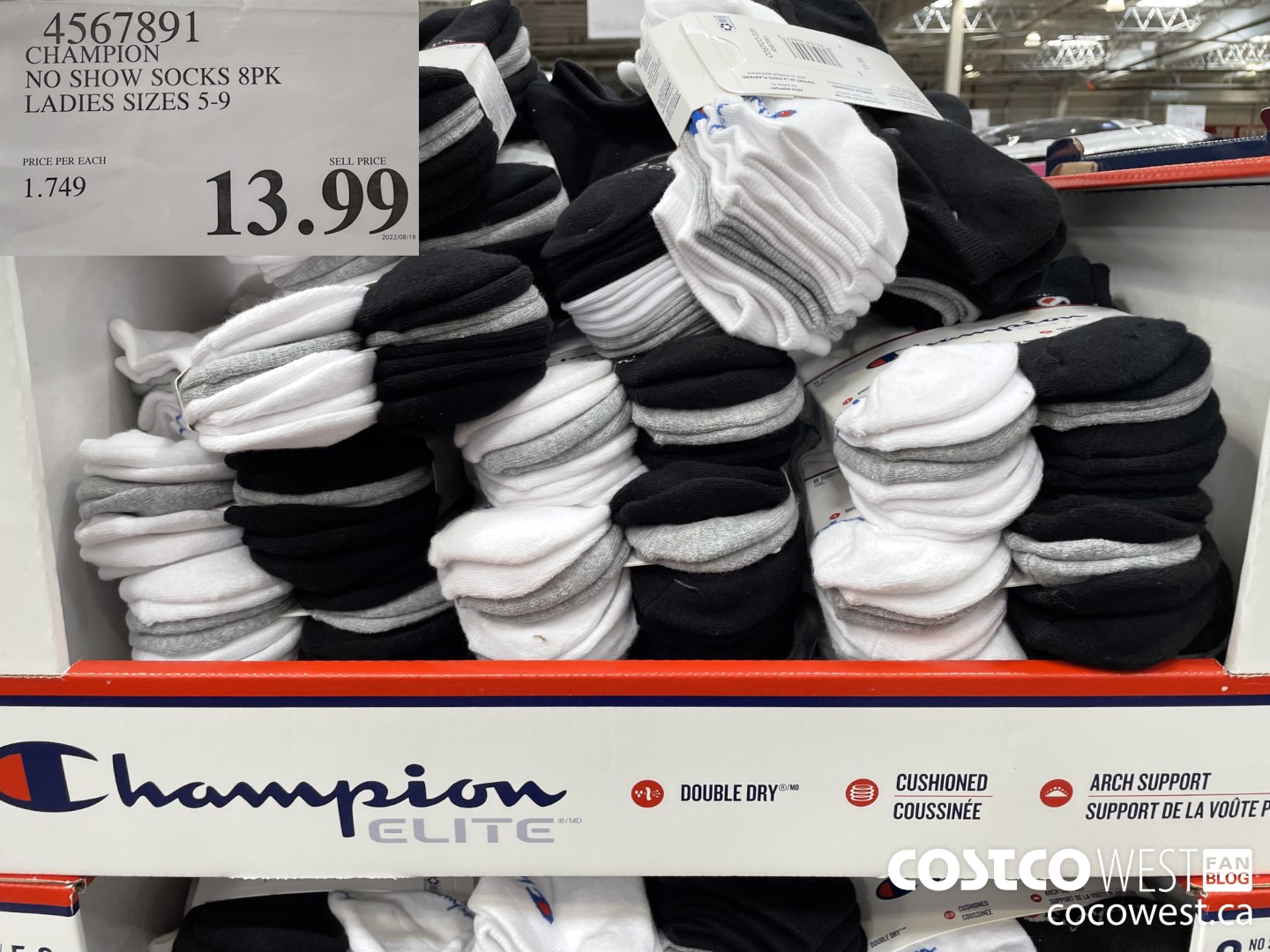 4567891 CHAMPION NO SHOW SOCKS 8PK LADIES SIZES 5-9 $13.99