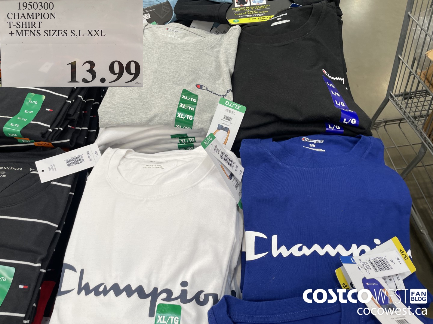 1950300 CHAMPION T-SHIRT MENS SIZES S, L-XXL $13.99