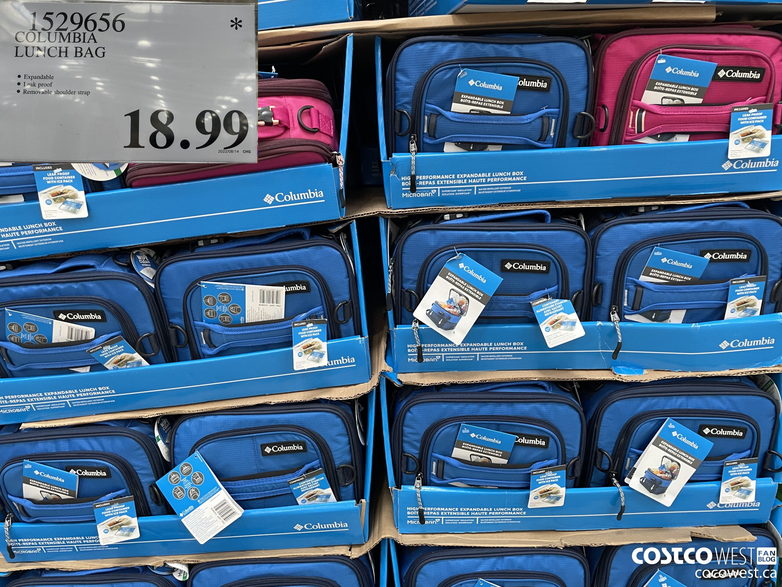 Costco's Glass Meal Prep Containers Are Perfect For Back-to-School –  SheKnows