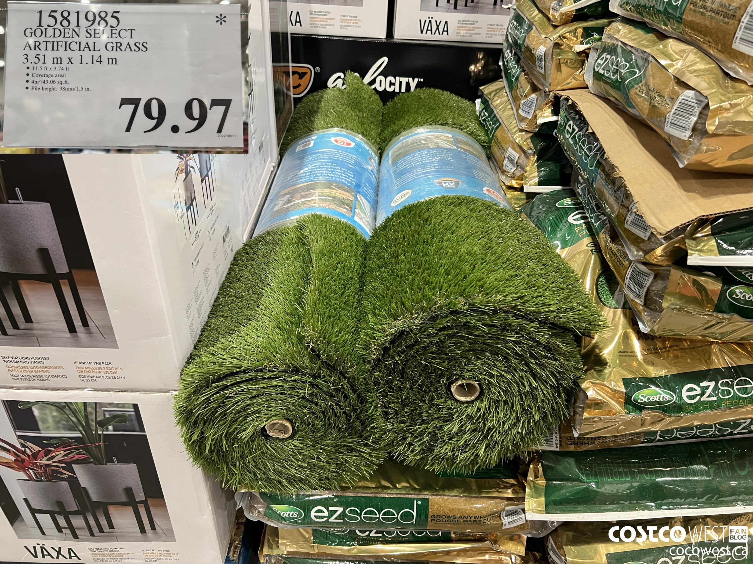 1581985 GOLDEN SELECT ARTIFICIAL GRASS 3.51 m x 1.14 m $79.97