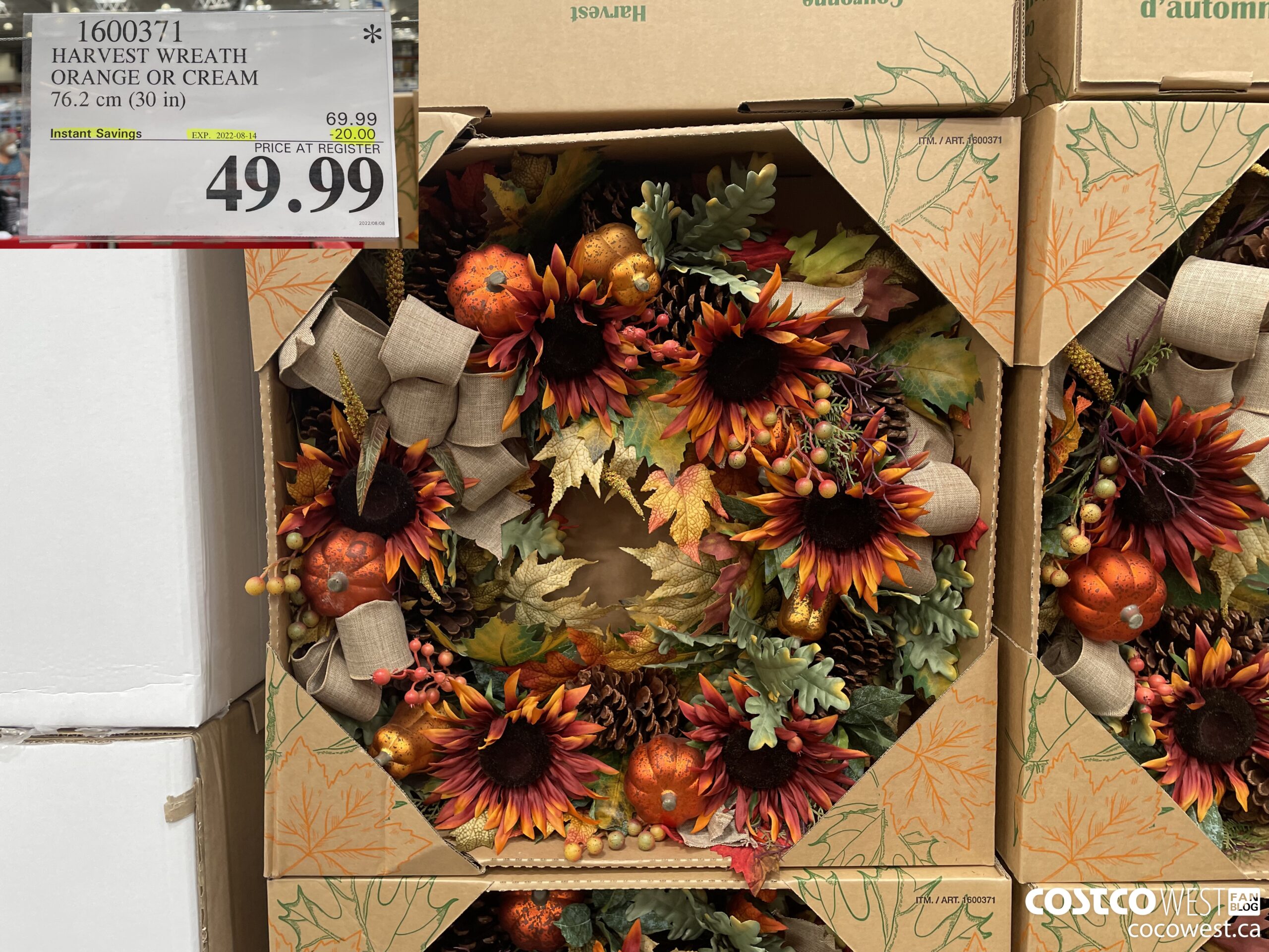 1600371 HARVEST WREATH ORANGE OR CREAM 76.2 CM (30 IN) ($20.00 INSTANT SAVINGS EXPIRES ON 2022-08-14) $49.99
