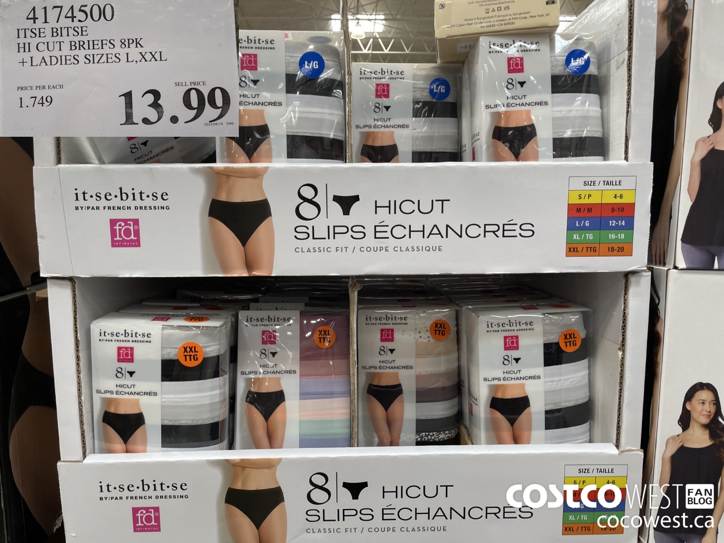 4174500 ITSE BITSE HI CUT BRIEFS 8PK LADIES SIZES S-XXL $13.99