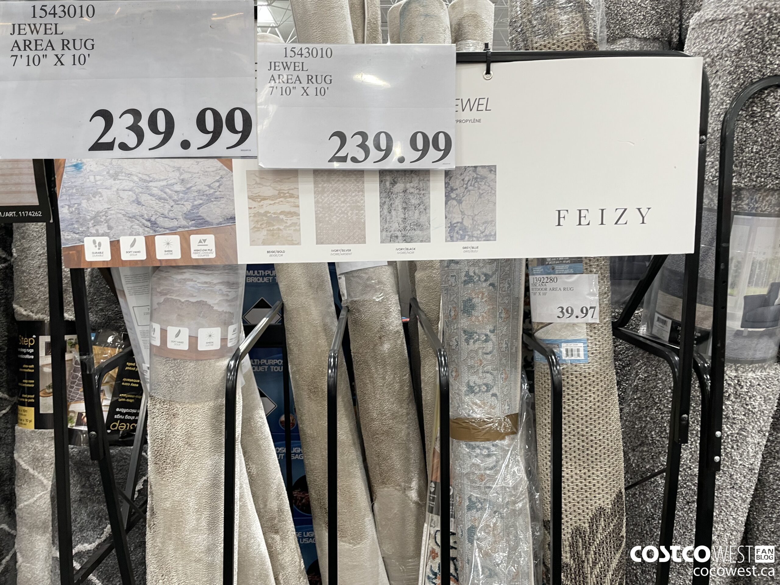 1543010 JEWEL AREA RUG 7'10