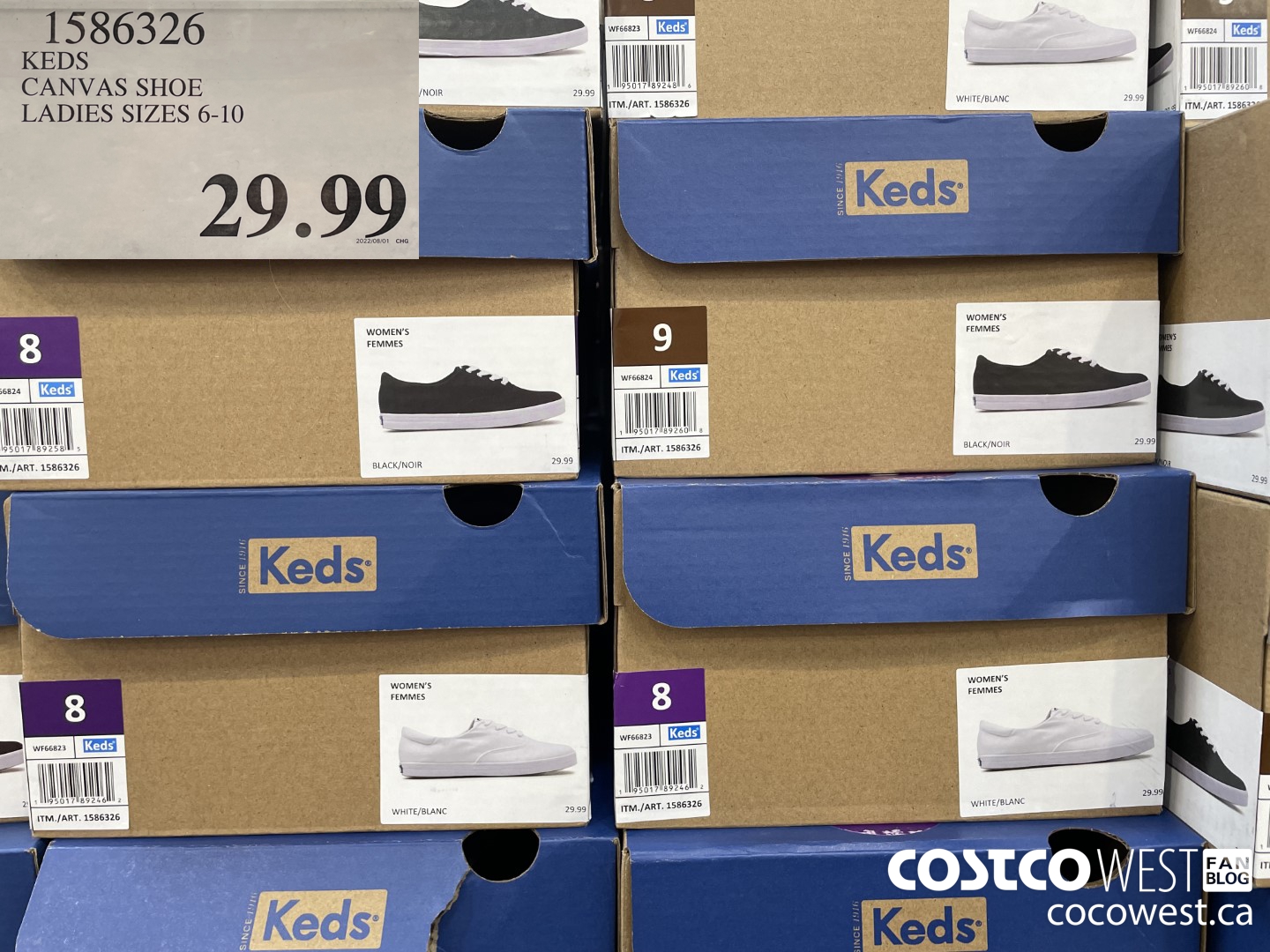 1586326 KEDS CANVAS SHOE LADIES SIZES 6-10 $29.99