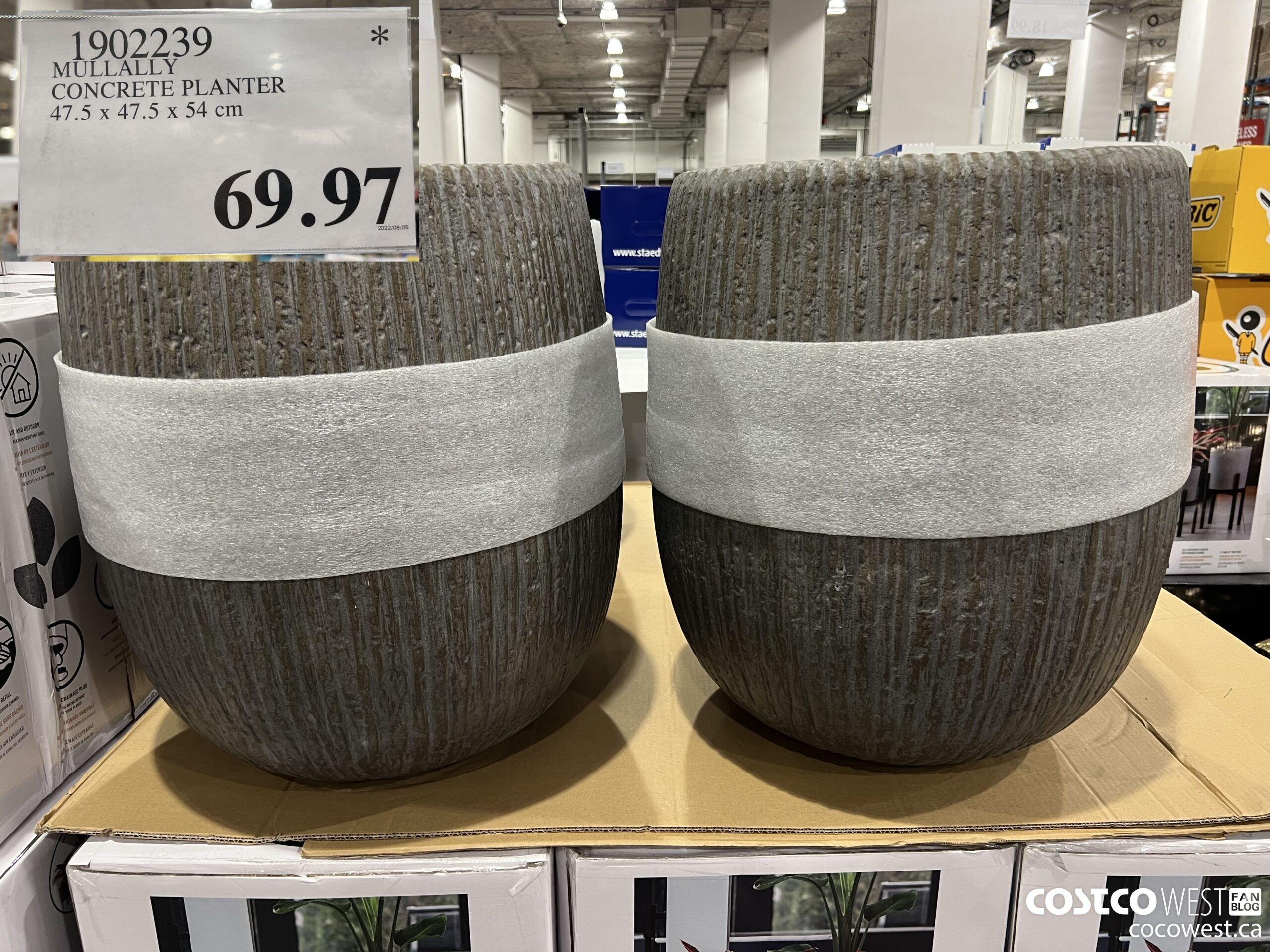 1902239 MULLALLY CONCRETE PLANTER 47.5 X 47.5 X 54 CM $69.97