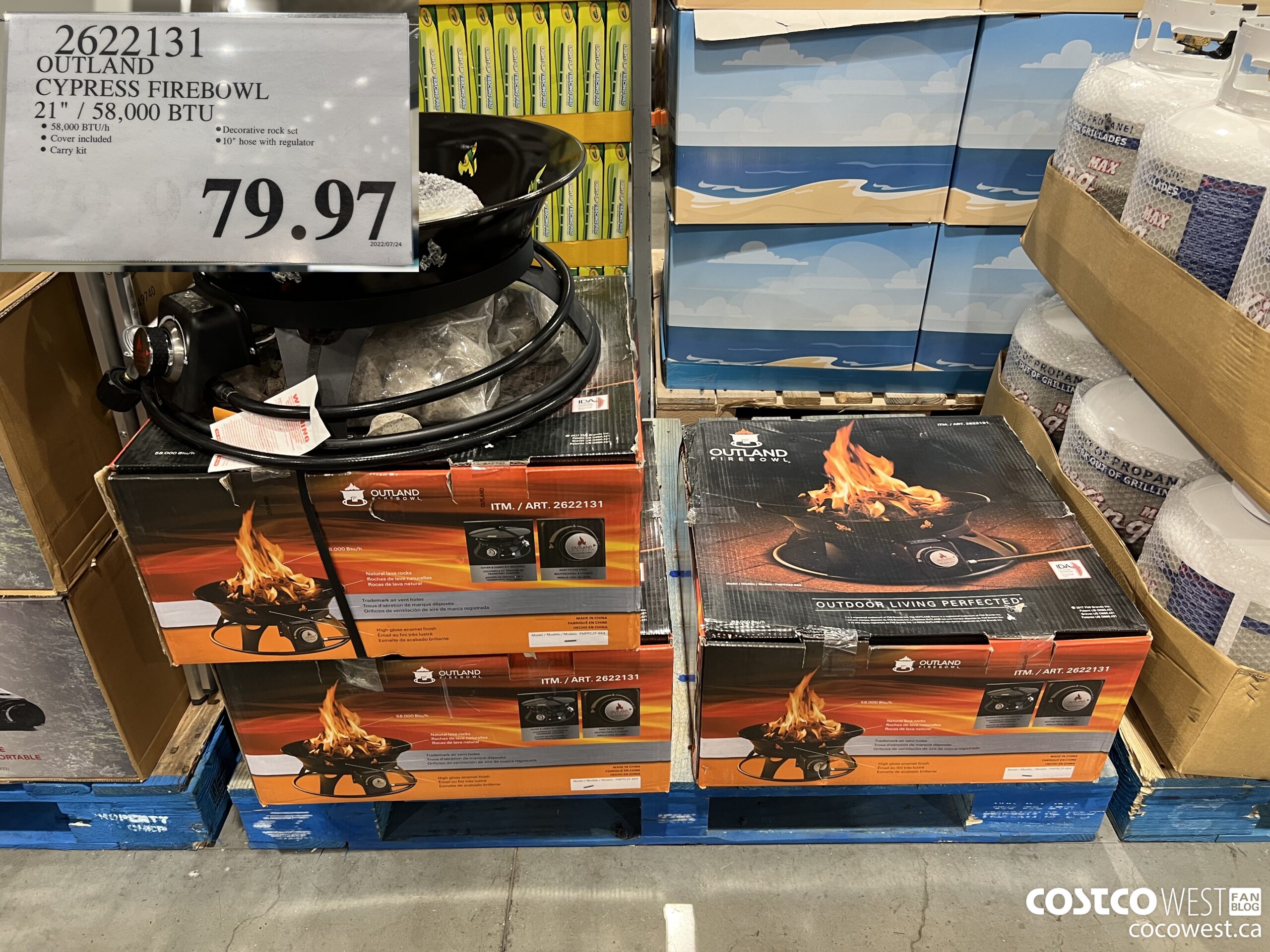 2622131 OUTLAND CYPRESS FIREBOWL 21