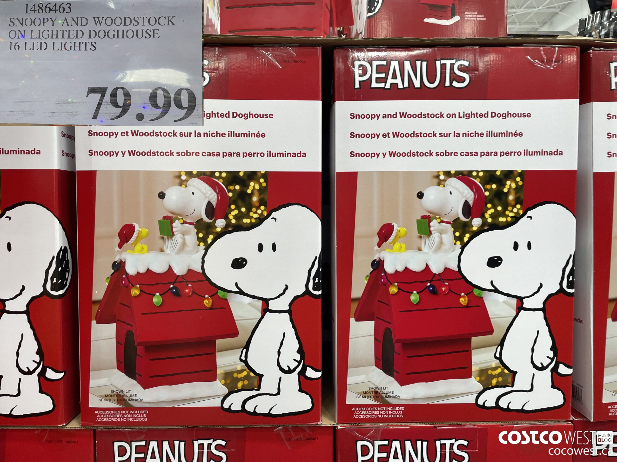 1486463 SNOOPY AND WOODSTOCK ON LIGHTED DOGHOUSE 16 LED LIGHTS  $79.99