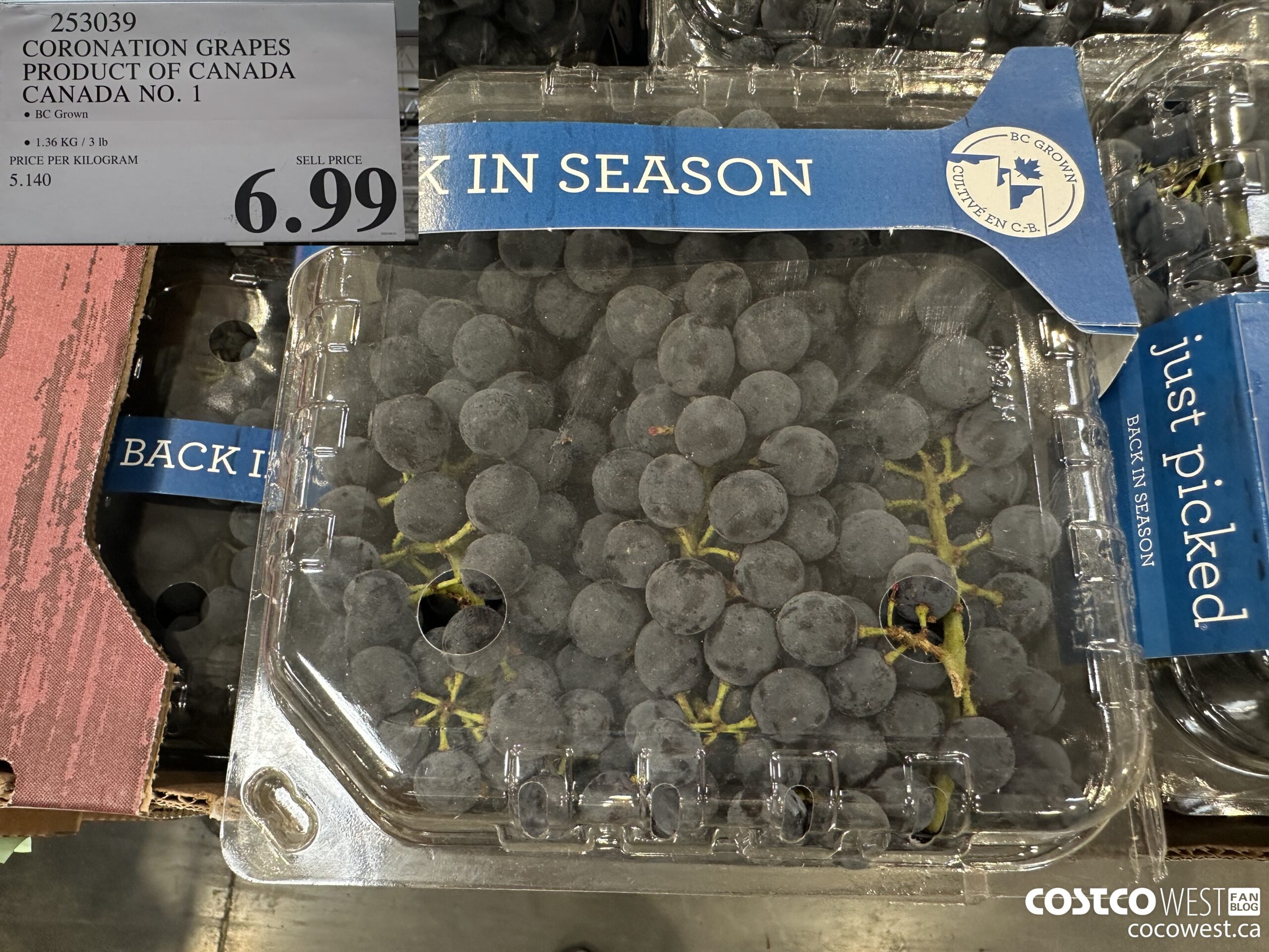 253039 CORONATION GRAPES PRODUCT OF BC CANADA NO. 1 $6.99
