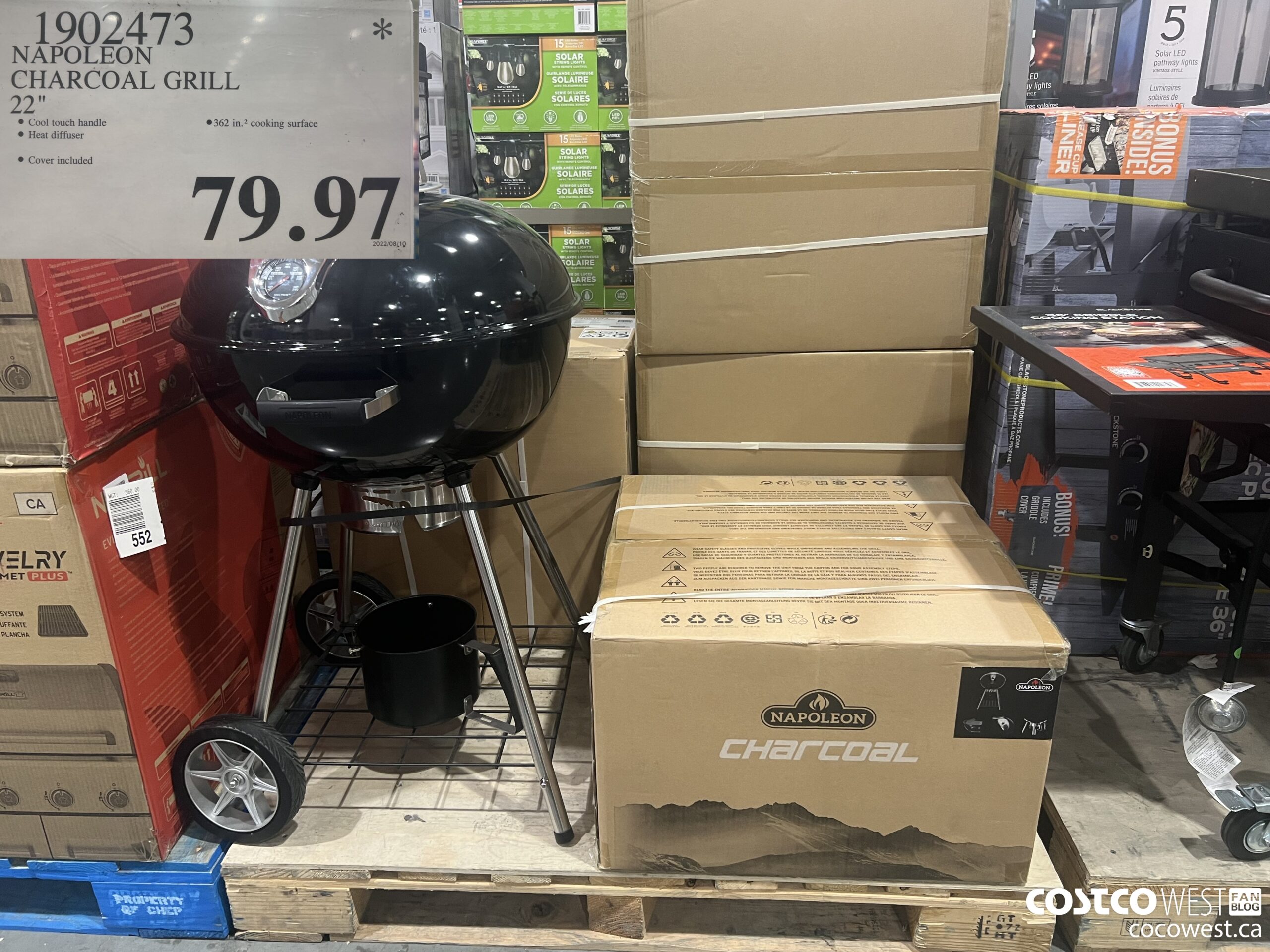 1902473 NAPOLEON CHARCOAL GRILL 22