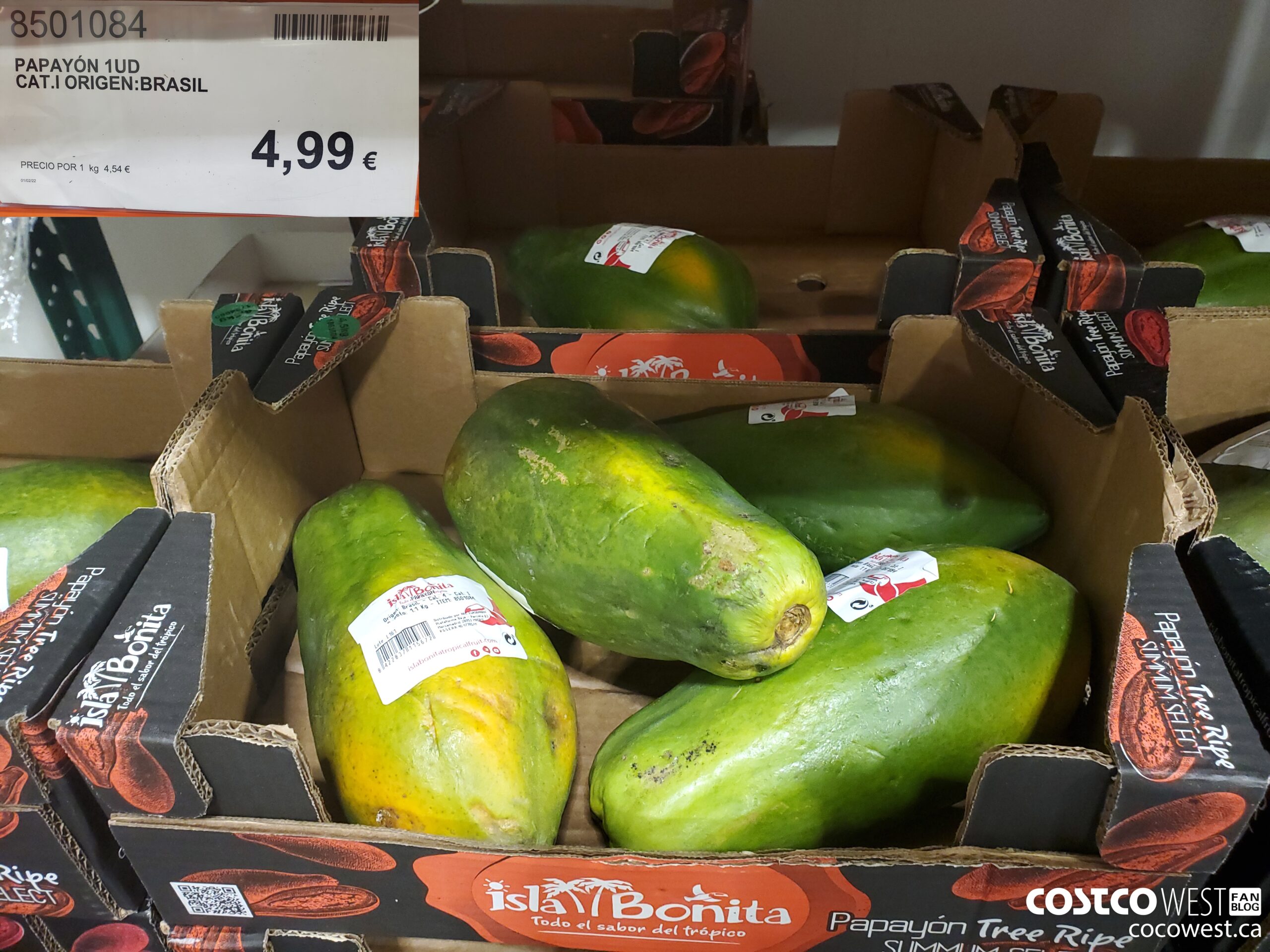 8501084 PAPAYON 1UD CAT.I ORIGEN:BRASIL $4.99