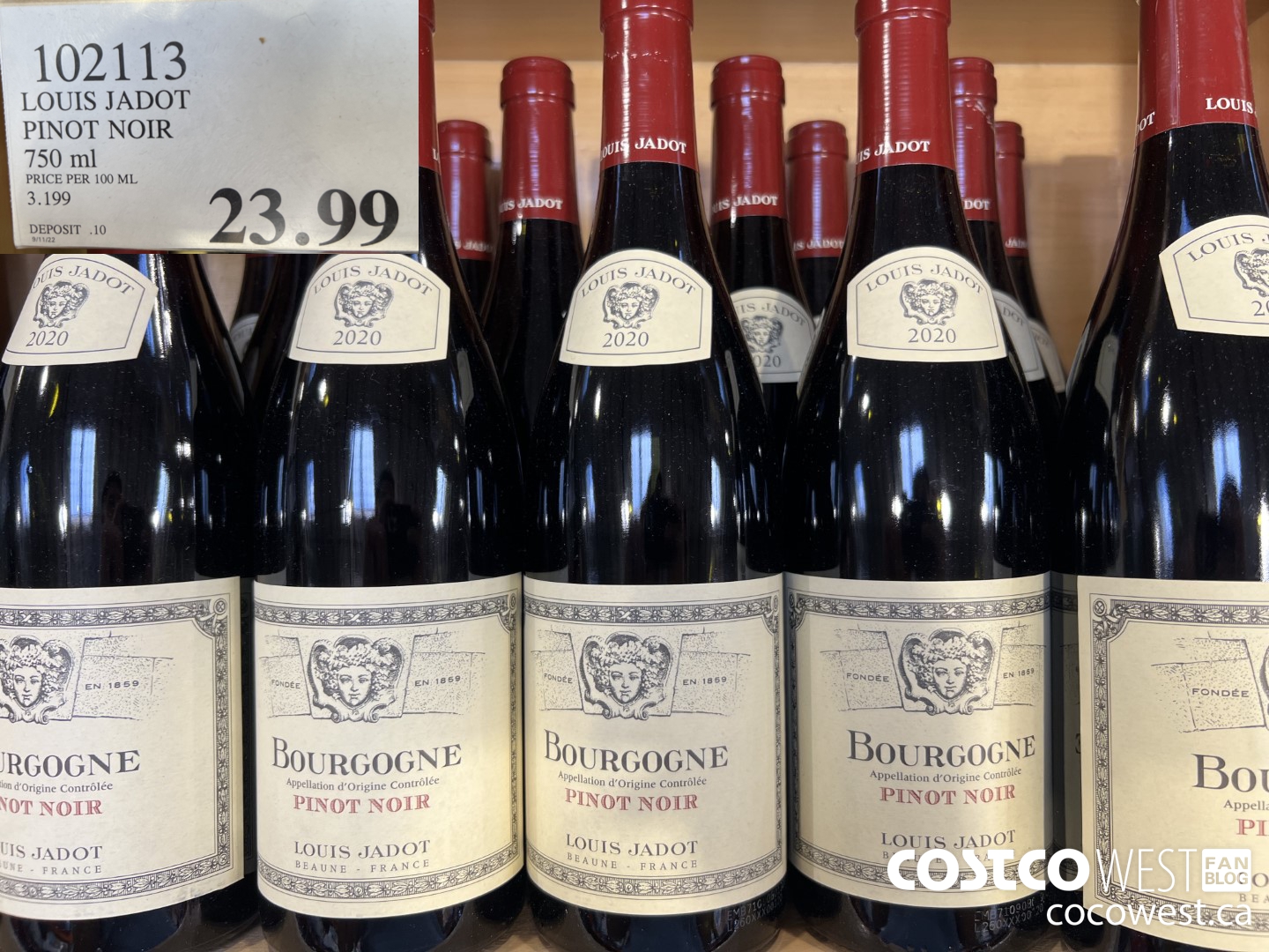 102113 LOUIS JADOT PINOT NOIR 750 ML $23.99