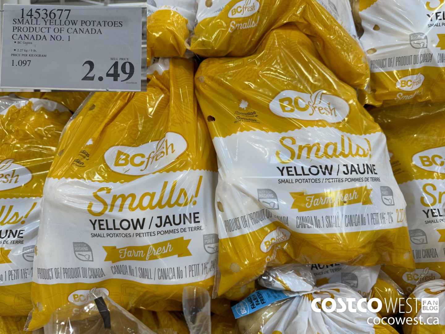 1453677 SMALL YELLOW POTATOES PRODUCT OF CANADA CANADA NO. 1  $2.49