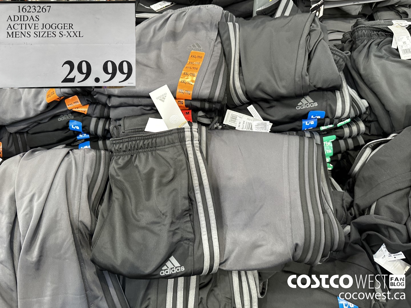 New Costco / Kirkland hoodie and joggers with Adidas Terrex Hikers