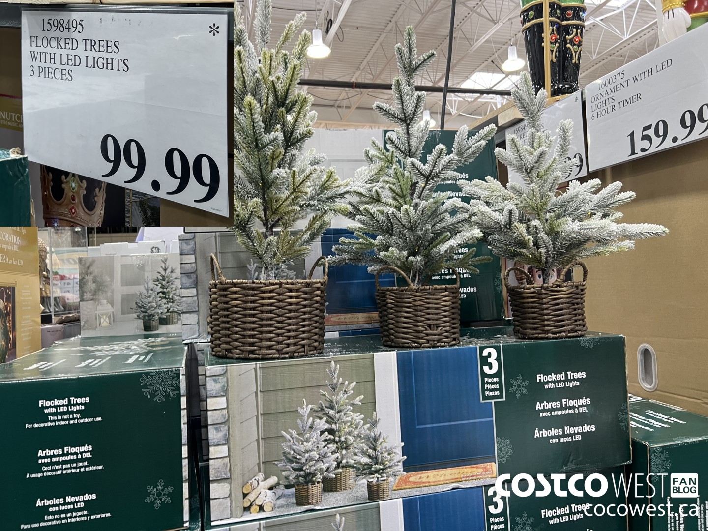 1598495 FLOCKED TREES WITH LED LIGHTS 3 PIECES $99.99