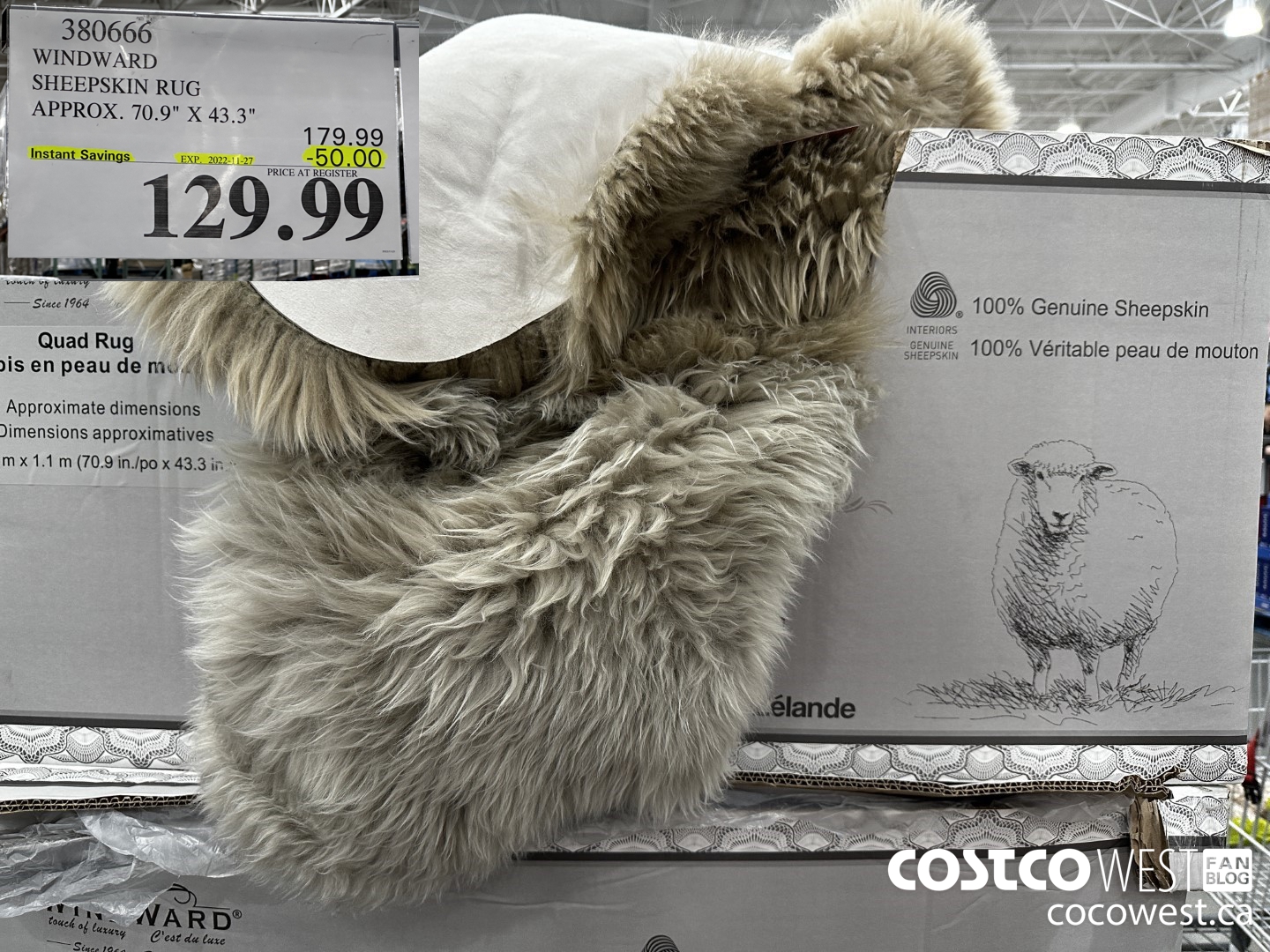 380666 WINDWARD SHEEPSKIN RUG APPROX. 70.9