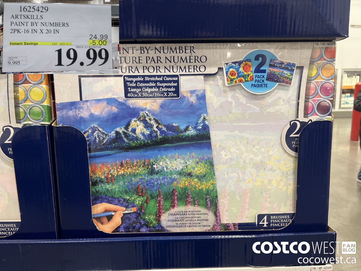 1625429 ARTSKILLS PAINT BY NUMBERS 2PK-16 IN X 20 IN ($5.00 INSTANT SAVINGS EXPIRES ON 2022-12-11) $19.99