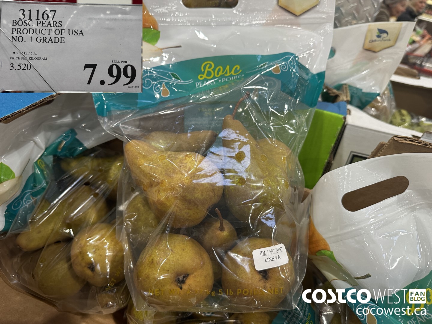 Bosc Pears 5lb Tote