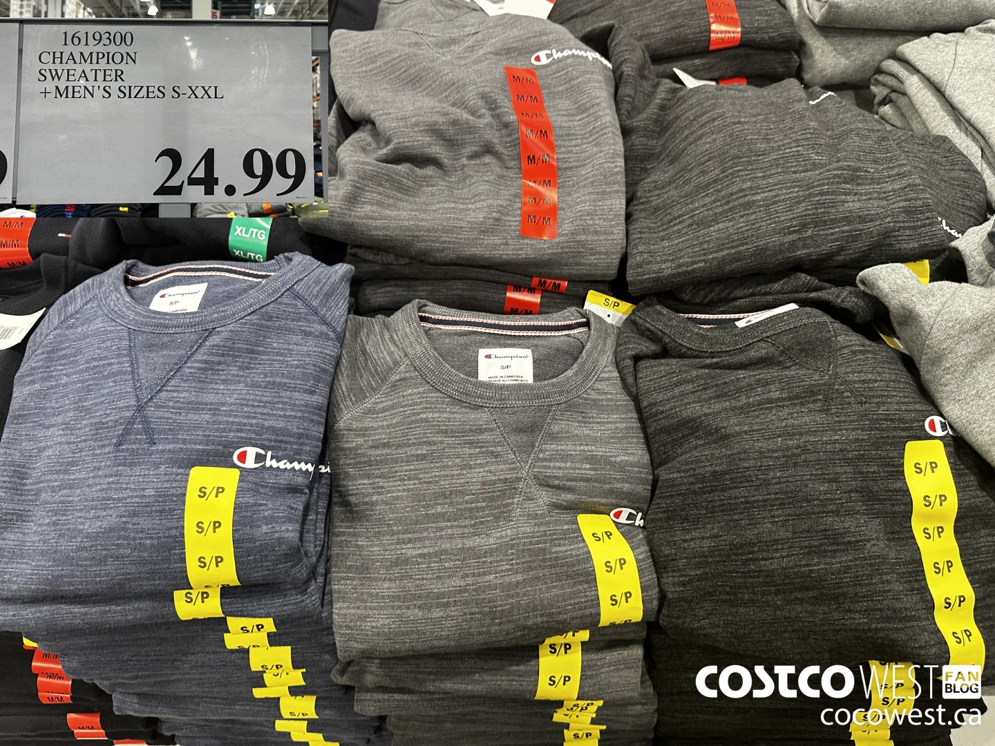 Champion sweater 2024 costco italia