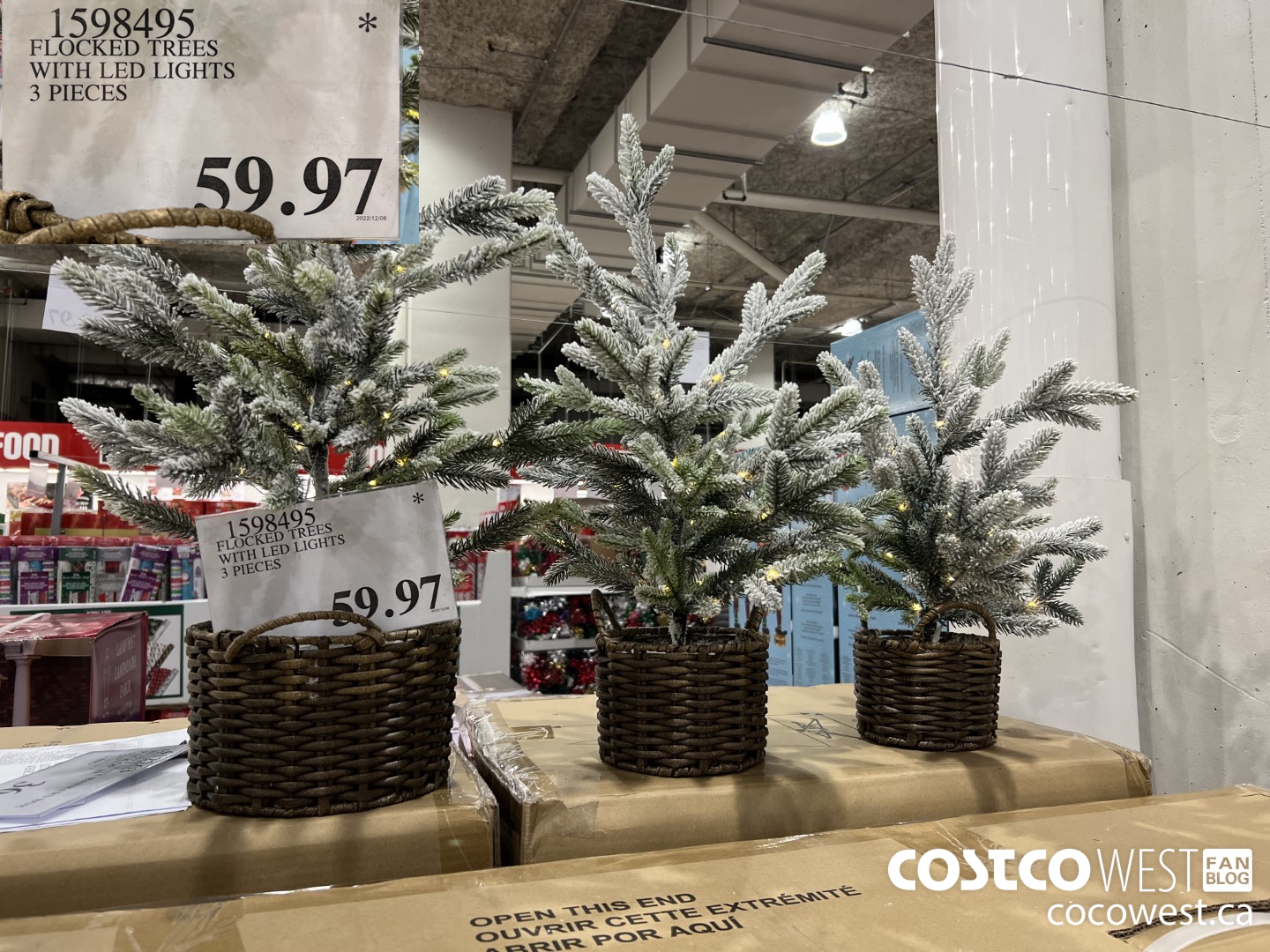 1598495 FLOCKED TREES WITH LED LIGHTS 3 PIECES $59.97