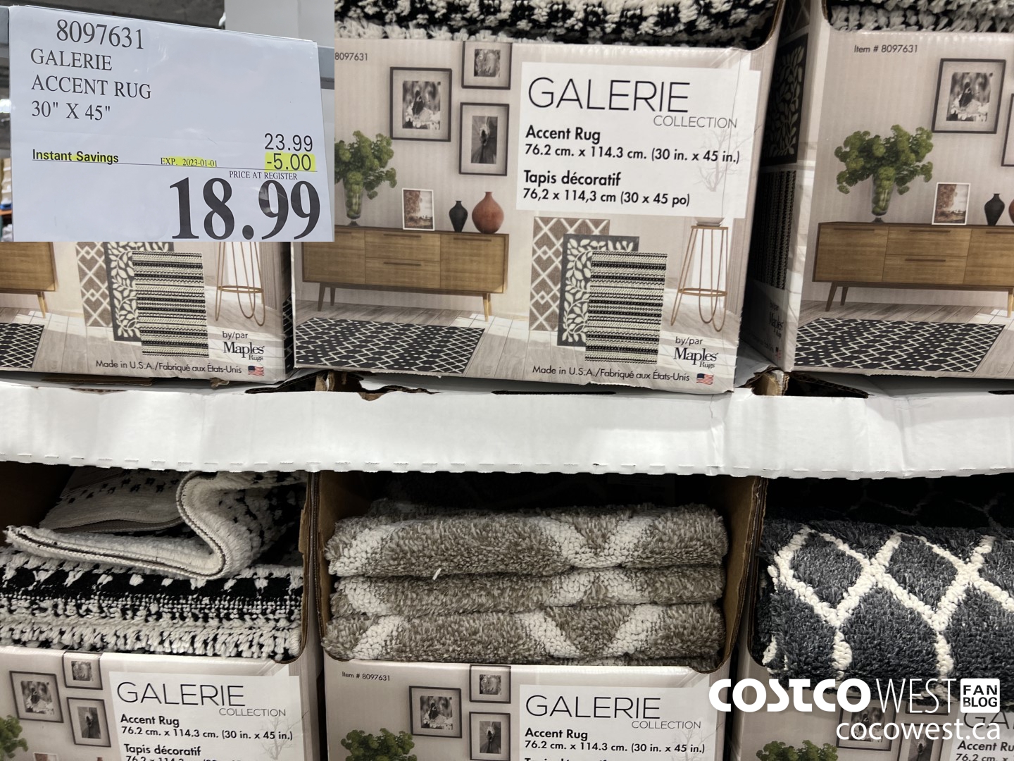 8097631 GALERIE ACCENT RUG 30