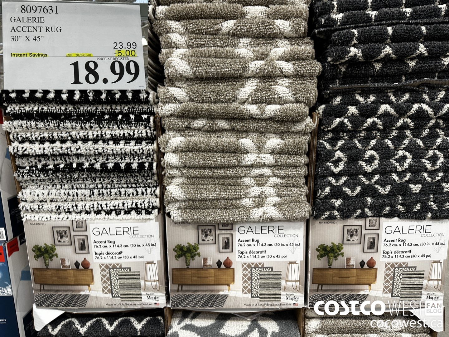 8097631 GALERIE ACCENT RUG 30