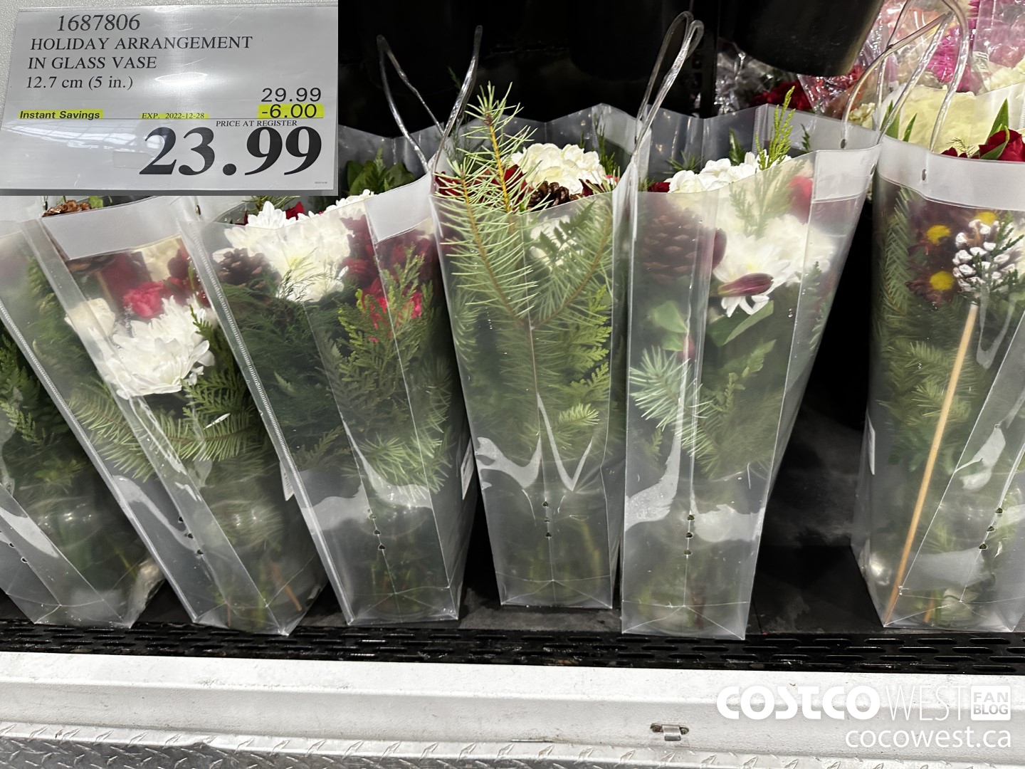 1687806 HOLIDAY ARRANGEMENT IN GLASS VASE 12.7 CM (5 IN.) ($6.00 INSTANT SAVINGS EXPIRES ON 2022-12-28) $23.99