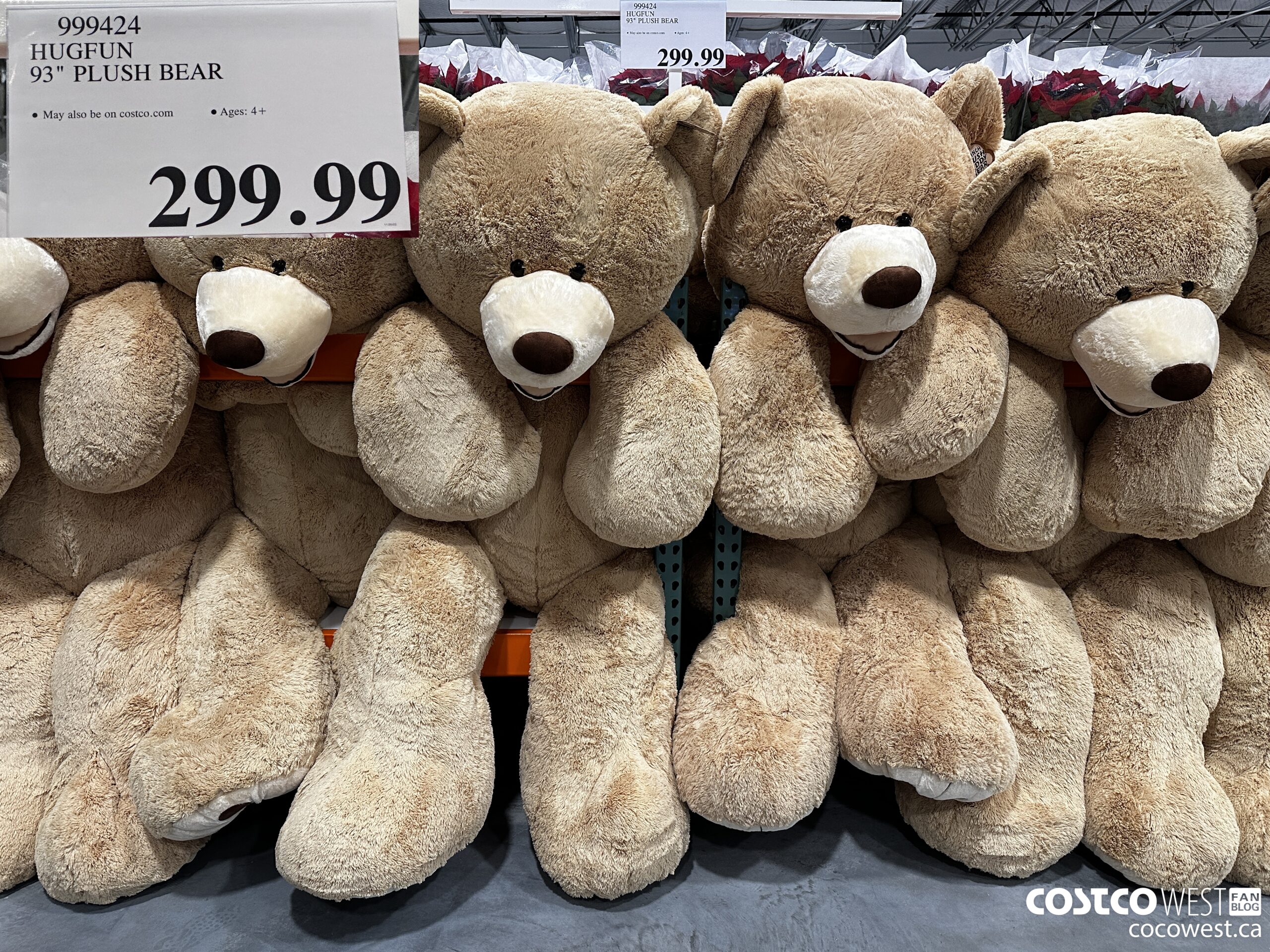 OPENING DAY - Lake Stevens, WA Costco Photos! - Costco West Fan Blog