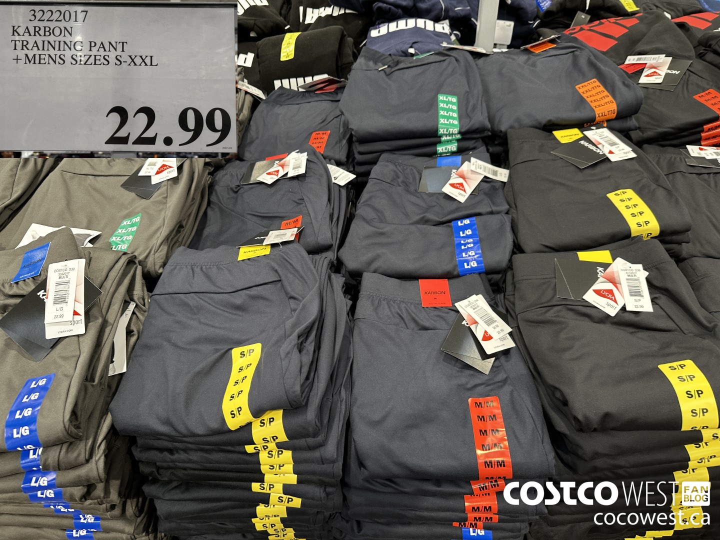 Champion men's training online pants costco