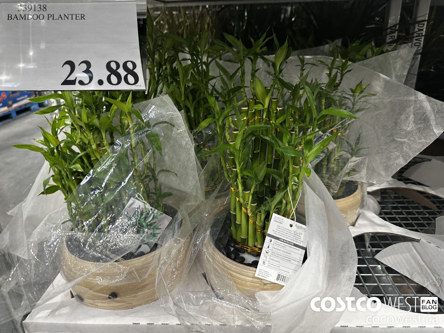 339138 BAMBOO PLANTER $23.88