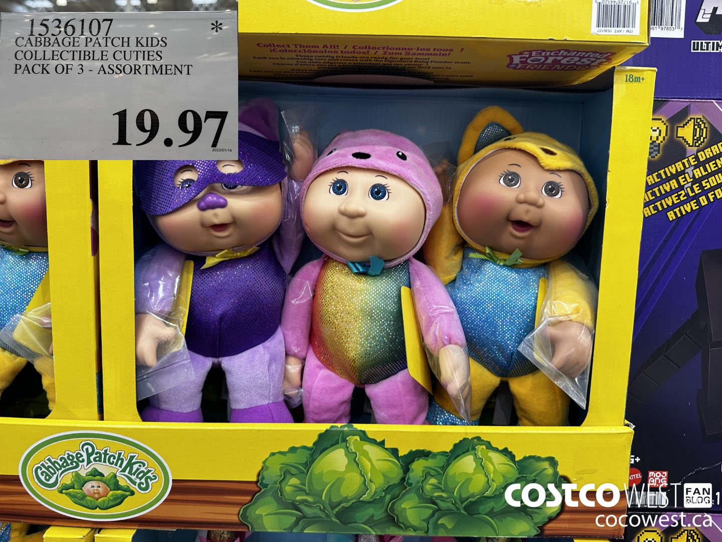 1536107 CABBAGE PATCH KIDS COLLECTIBLE CUTIES PACK OF 3 ASSORTMENT $19.97