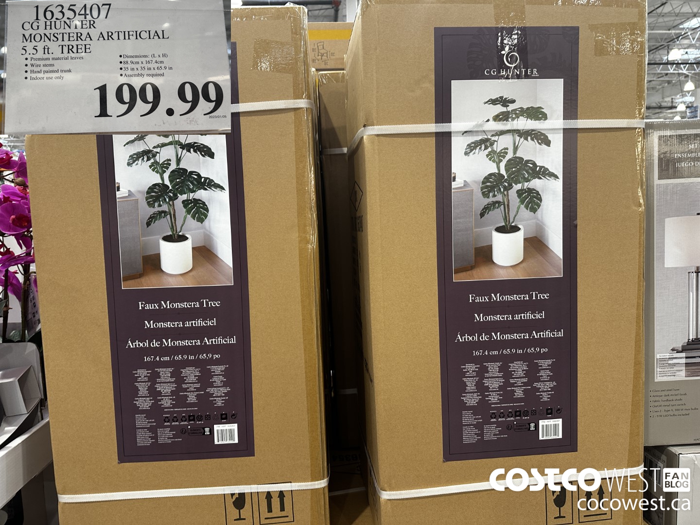 1635407 CG HUNTER MONSTERA ARTIFICIAL 5.5 FT. TREE $199.99