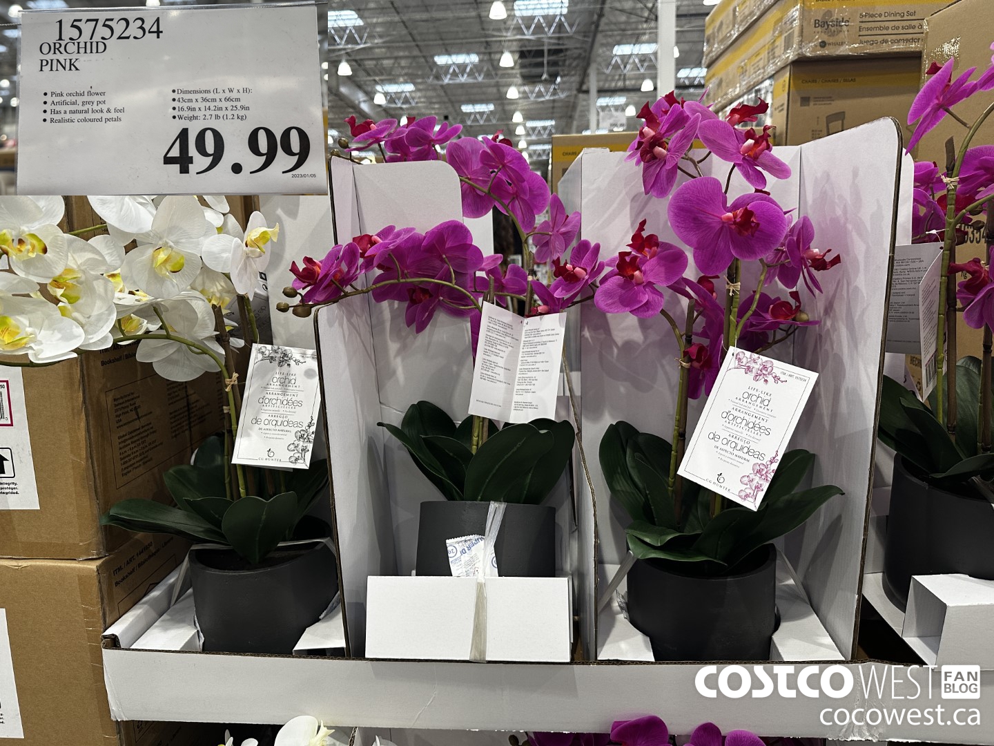 1575234 ORCHID PINK  $49.99