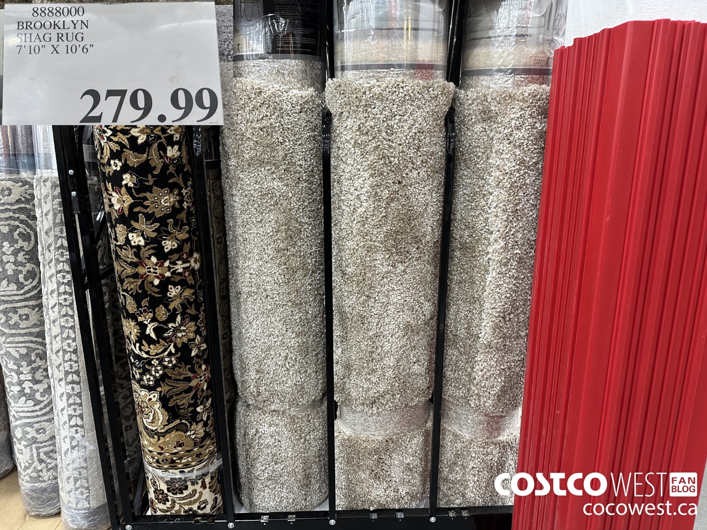 8888000 BROOKLYN SHAG RUG 7'10