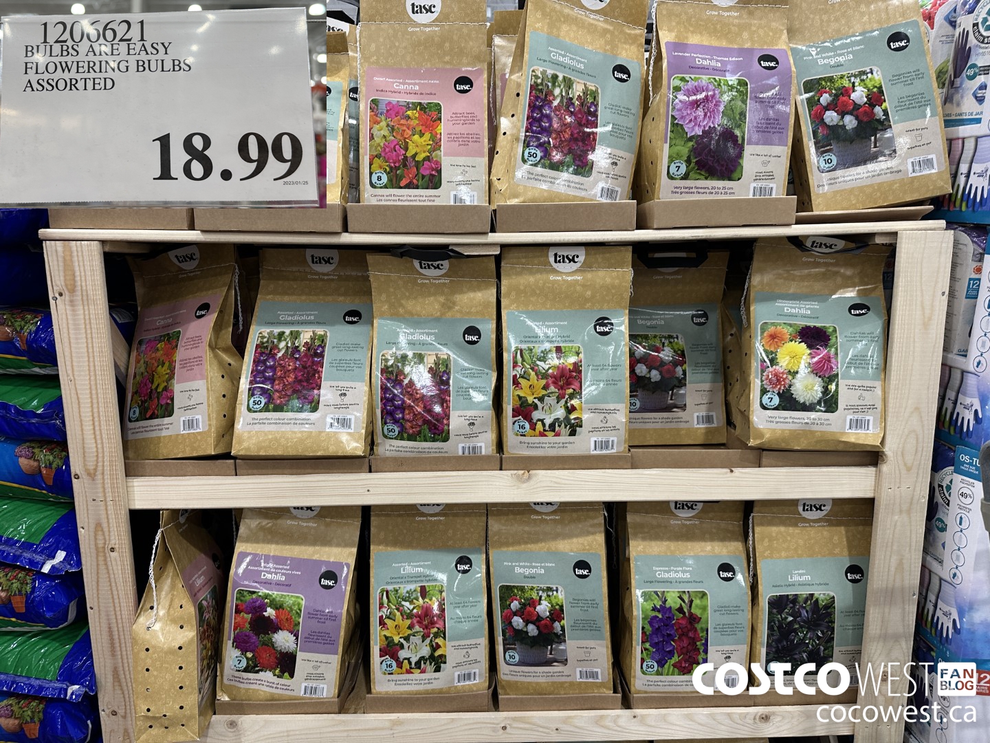 1206621 BULBS ARE EASY FLOWERING BULBS ASSORTED $14.99