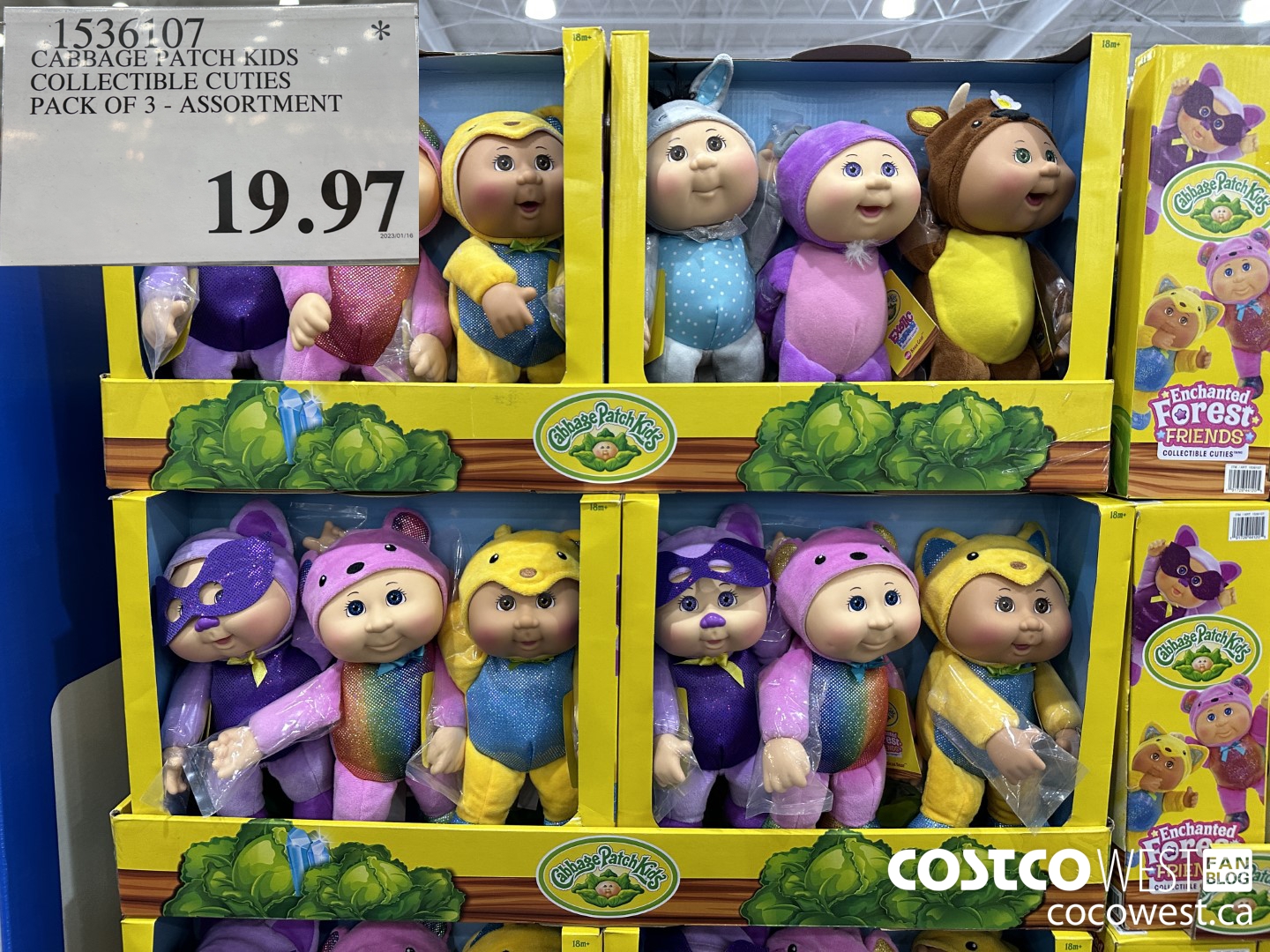 1536107 CABBAGE PATCH KIDS COLLECTIBLE CUTIES ASSORTMENT PACK OF 3 $19.97